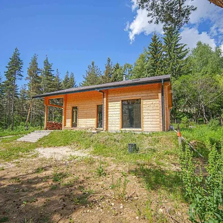 Yarema Forest Zheleznitsa